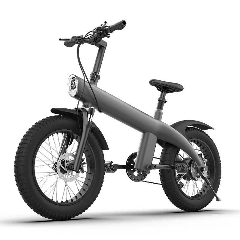 E bike 750W