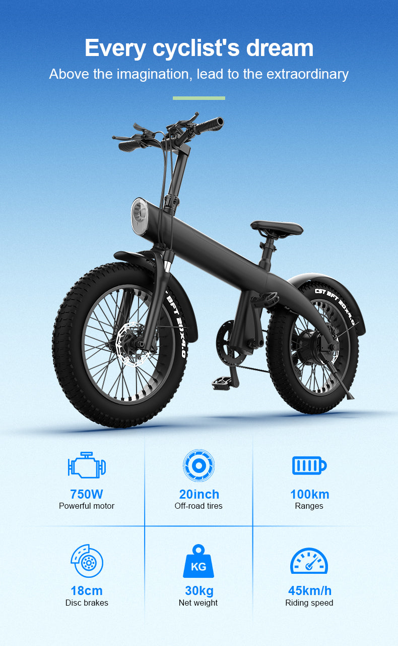 Q3 E Bike Q3 Electric Bike