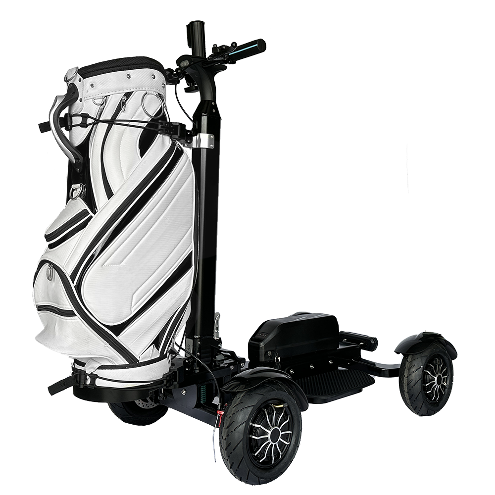 10 Inch High Quality 4 Wheel Golf Board Electric