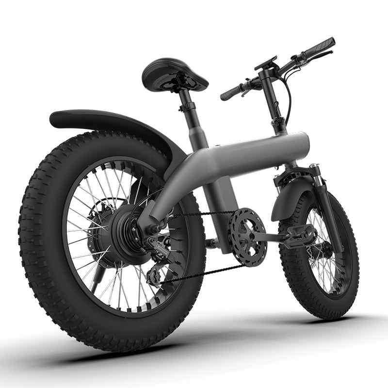 Fashional E bike
